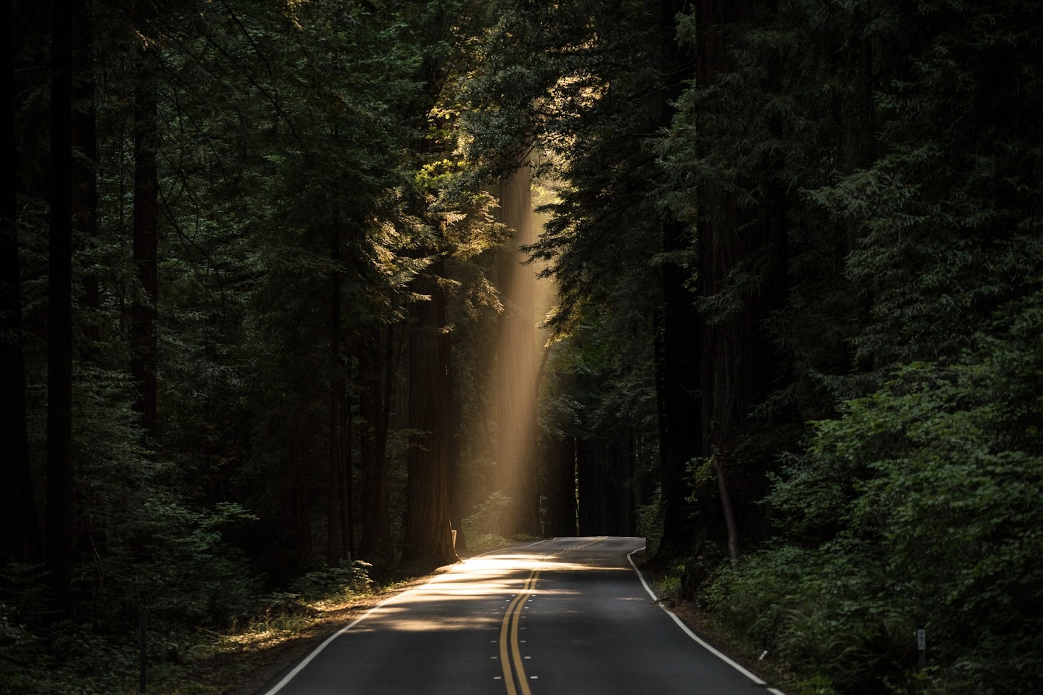 Why Hope Remains Our Greatest Spiritual Asset